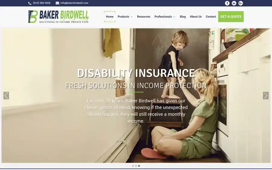 Screenshot of Professional service website